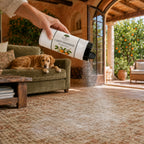 Raintree and Company Carpet Deodorizer, Orange Grove scent, with a dog on the carpet