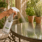 Raintree and Company Glass & Surface Cleaner, Herb Garden scent, in use
